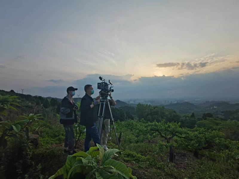 创意破圈！武进区电商产品宣传视频用故事化叙事引爆流量