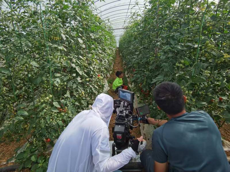 武进区产品宣传视频拍摄公司进阶指南，助力品牌抢占传播高地